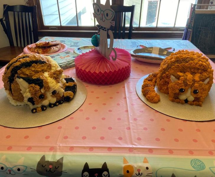 Tort oyoqda turgan mashhurlarning fotosuratlari