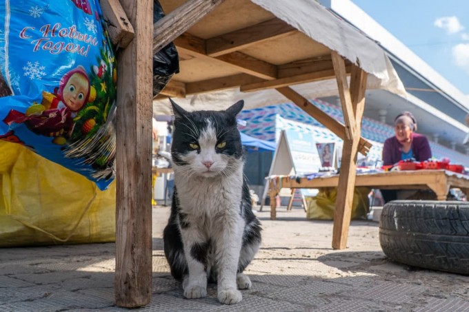 Onasi va qizi bir yigitni jinsiy aloqaga jalb qilishdi