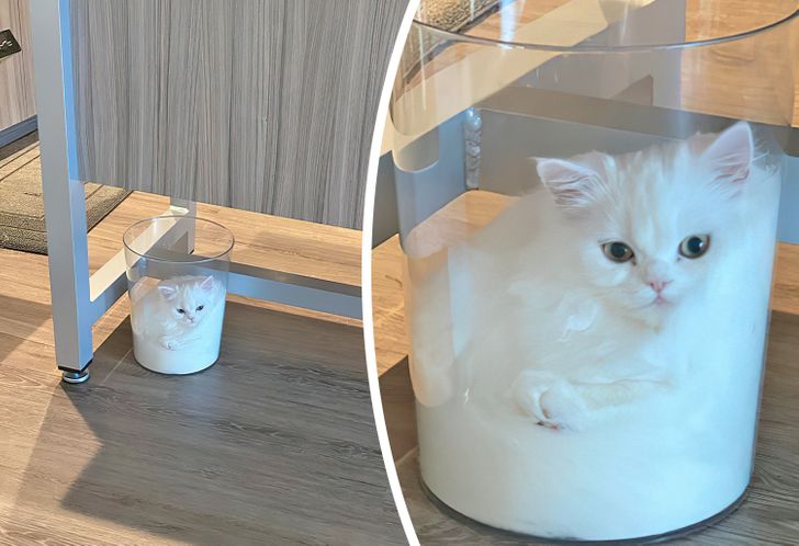 Janubiy Koreya jinsiy aloqa