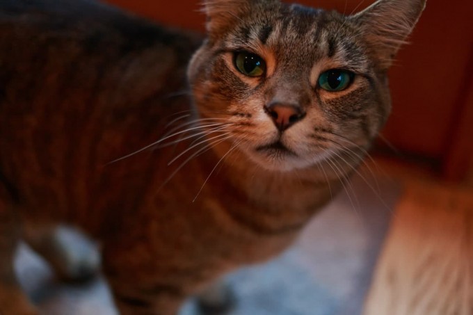 Jinsiy olatni qanday qilib togri onanizm qilish kerak