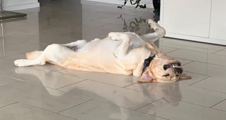 Yoqotmasdan jinsiy aloqa turlari