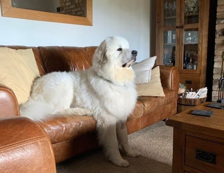 Bu video shafqatsiz. Erkalashlar va opishlar va issiq jinsiy aloqa videolari