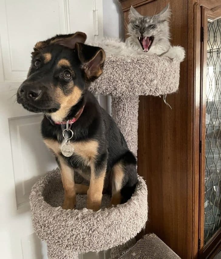 Yashirin kamera pornosida josuslik