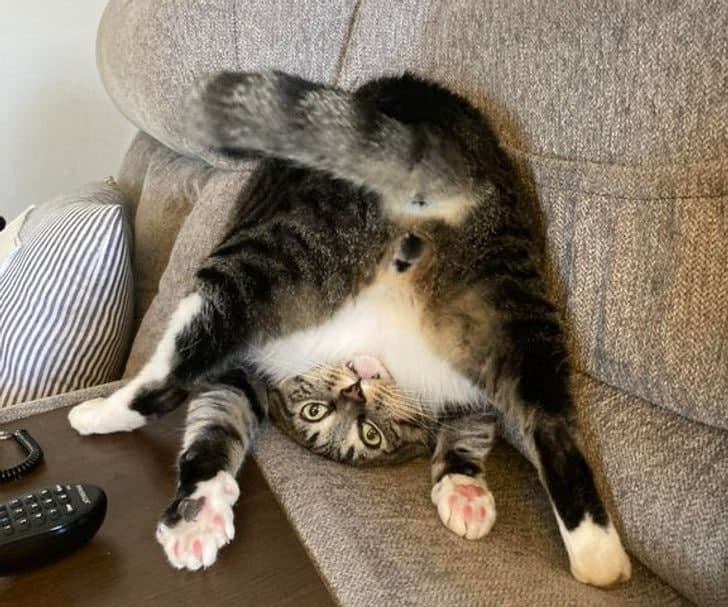 Internetda jinsiy aloqa qilishning manosi