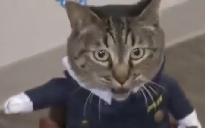 Levosin anal qichishi