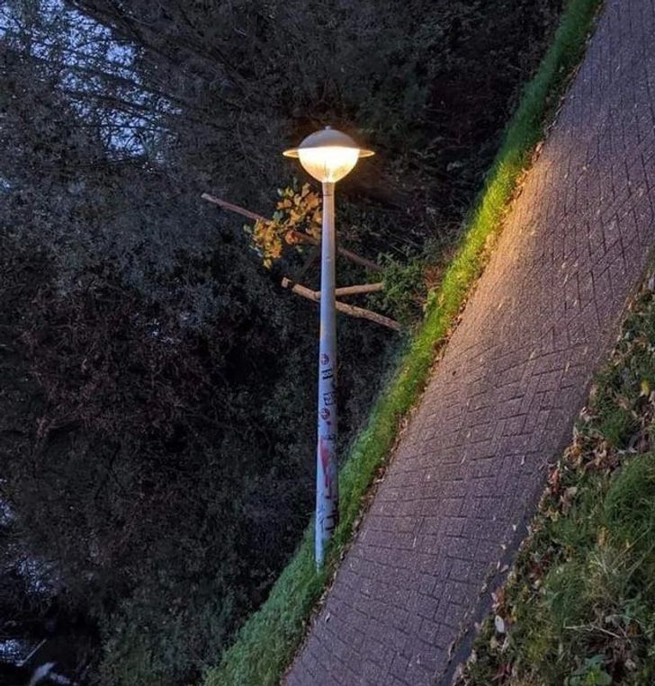 Ayolning jinsiy temperamentining tashqi belgilari