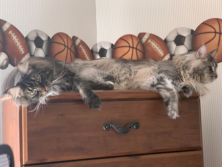 Koz yoshlari uchun katta yaralar bilan jinsiy aloqa