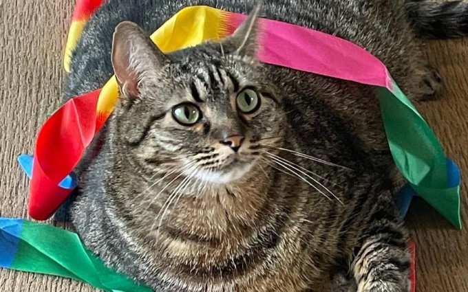 Chita porno yosh qizlar bilan jinsiy aloqa