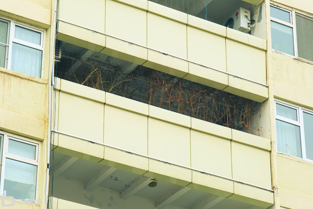 Mobil telefonda suratga olingan, onlayn porno