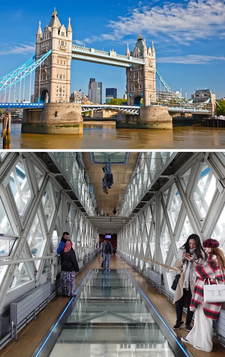 Paypoq kiygan gozal ayollar ishtirokida porno tomosha qiling