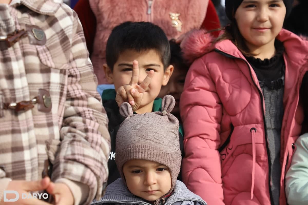 Soqollangan mushukning yaqindan surati