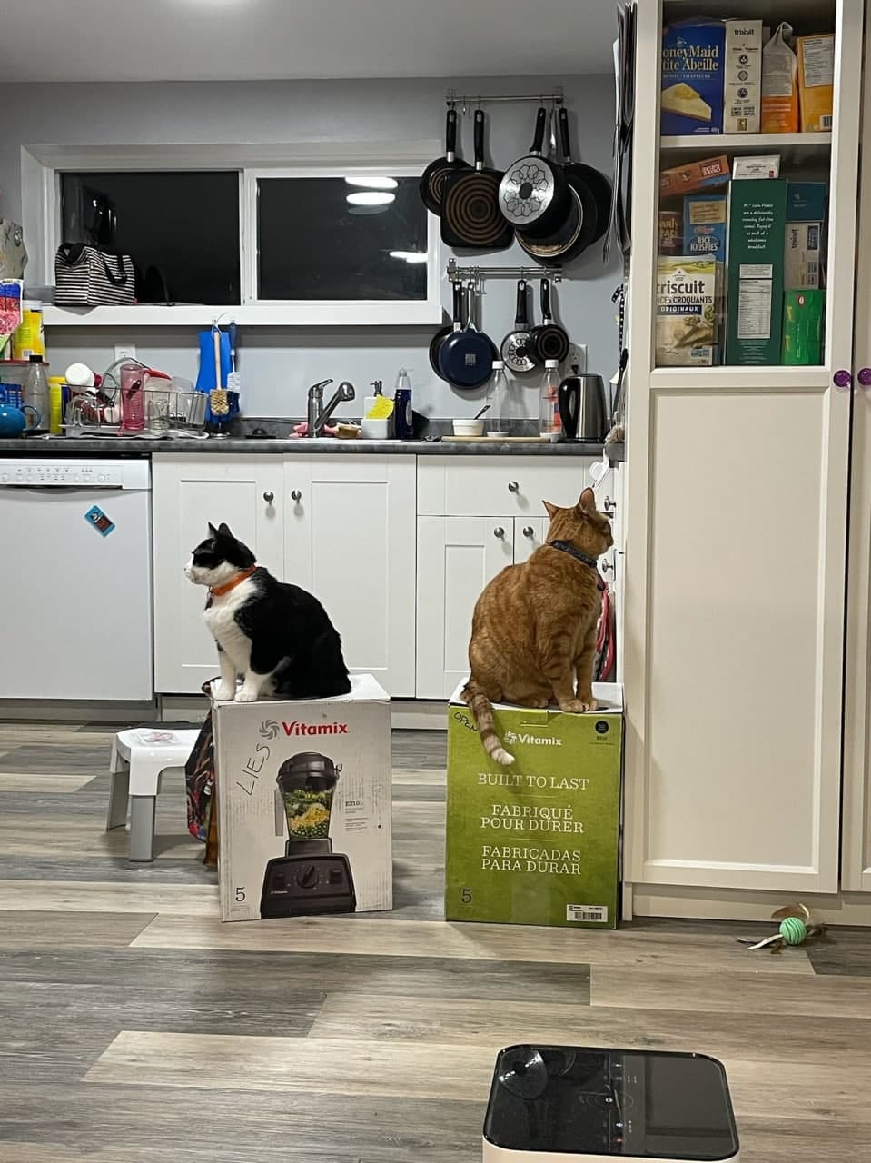 Yetuklar uchun qaymoqli porno