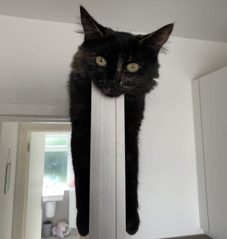 Yalangoch yahudiy ayollar fotosuratlar va videolar