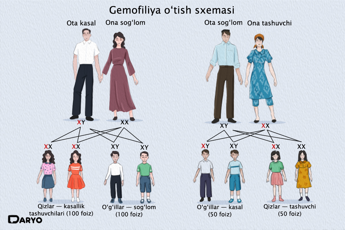 Onlayn styuardessa bilan samolyotda jinsiy aloqa Videoda vaginoplastikadan keyin transseksuallar