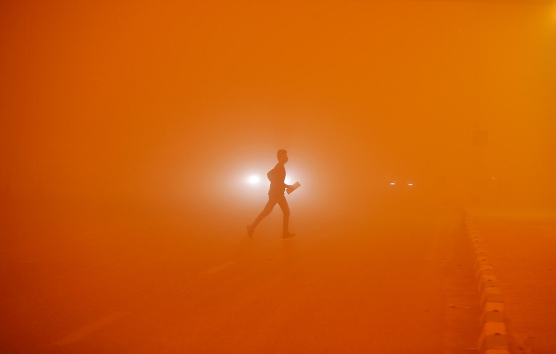 Chiroyli dumbalarning yaqindan olingan surati