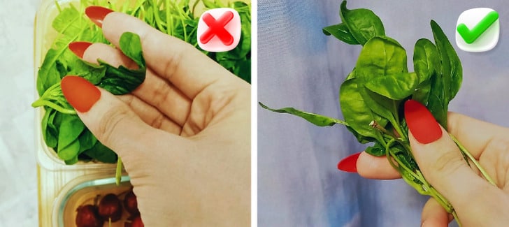 Rus oilaviy nudist porno