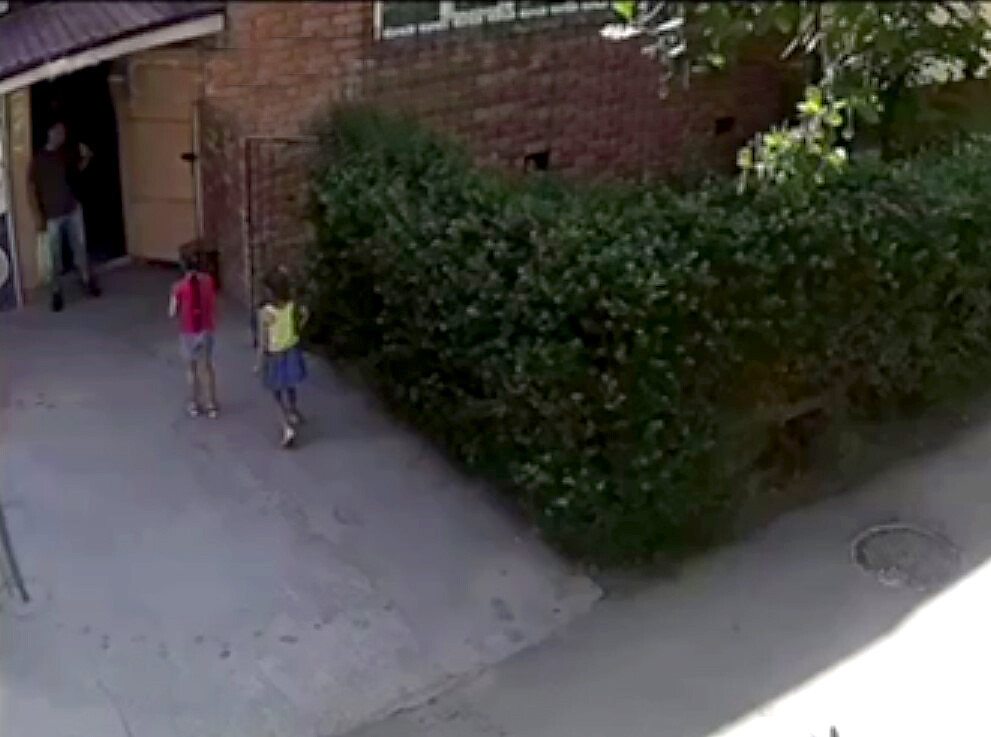 Korish uchun beshta videodan biri