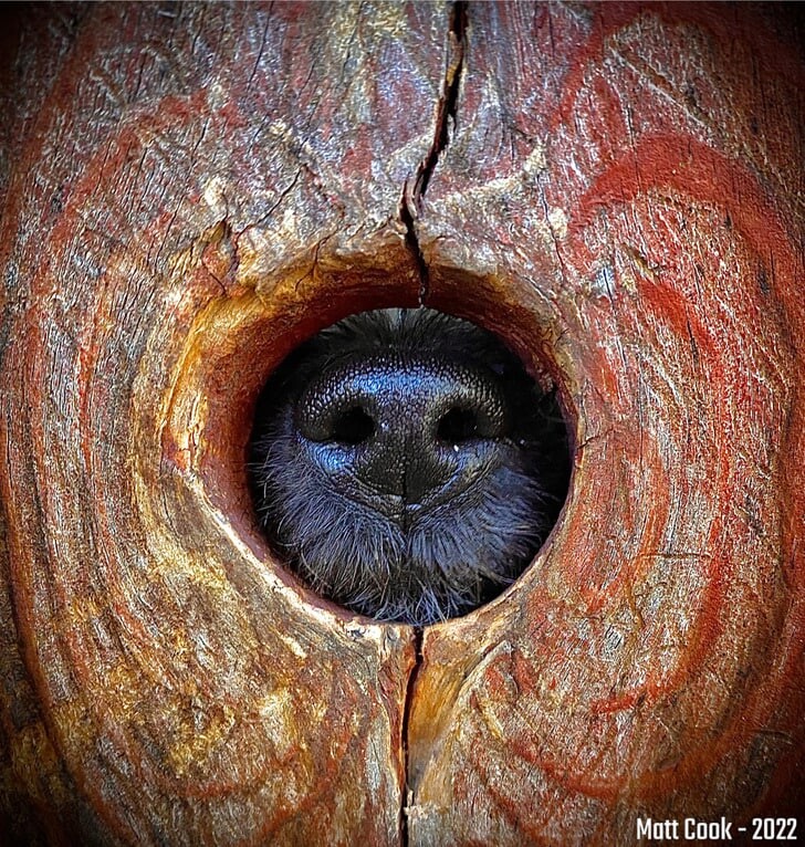 Porno filmlarda uzun oyoqli gozalliklar