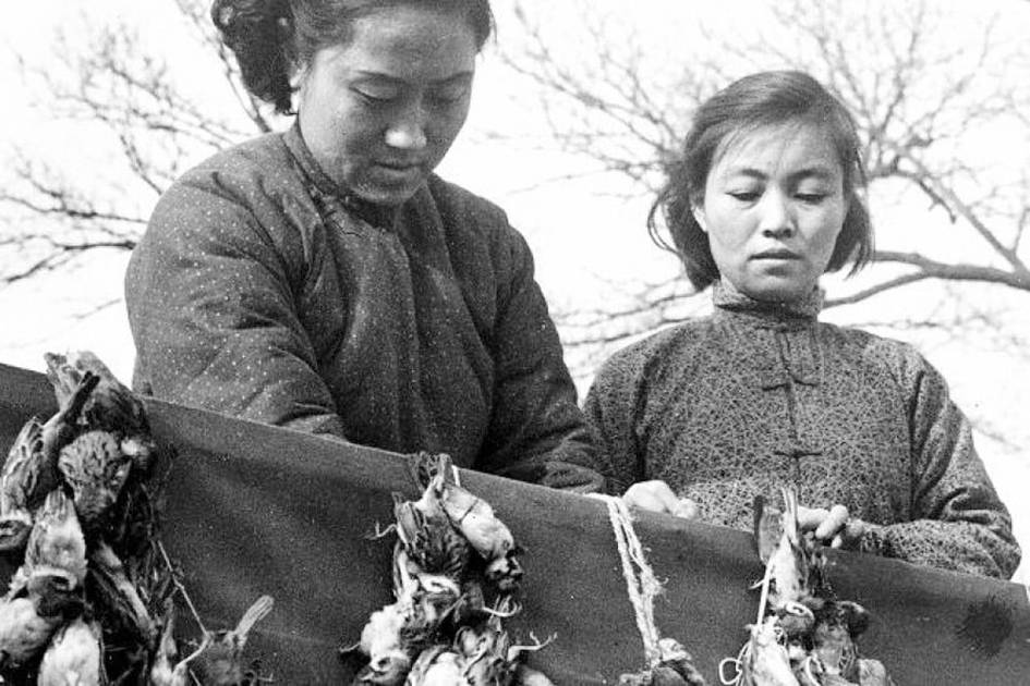 Men tomosha qilayotganimda xotinim dugonasini sorib oldi. Men tomosha qilayotganimda xotinim dugonasini sorib oldi.