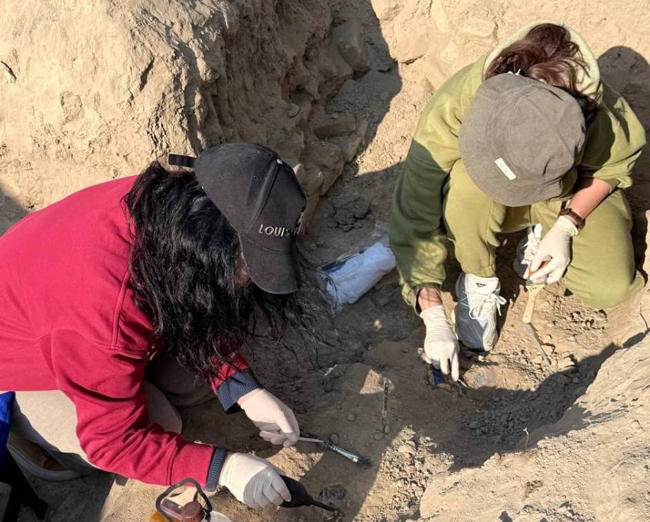 Hammom pornosida ozimni xursand qilish